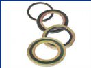 Spiral Wound Gasket